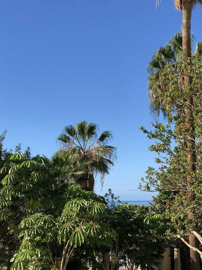 Liberty Cottage Tenerife Costa Adeje  3*, Costa Adeje (Tenerife) Spagna